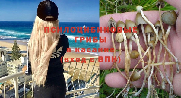 МДПВ Абдулино
