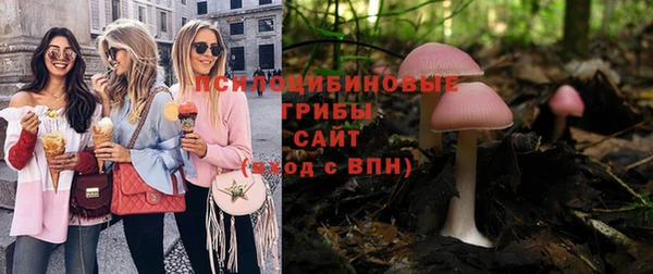 МДПВ Абдулино
