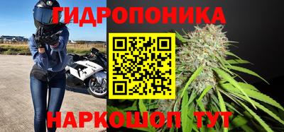 мяу мяу мука Партизанск
