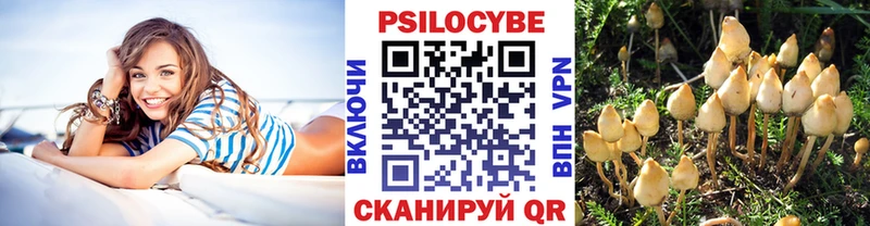 Псилоцибиновые грибы ЛСД Торжок