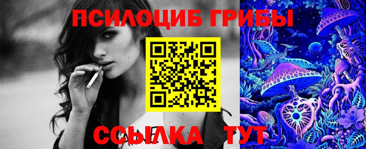Галлюциногенные грибы Cubensis  Псилоцибиновые грибы MAGIC MUSHROOMS  Вход с VPN  Торжок 